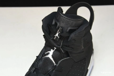 Hyperoad “Metallic Jordan 6 Air Silver” 0811